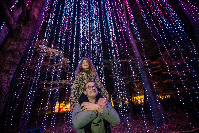 Garden of Lights Fénykert Budapesten a Fűvészkertben! Jegyek itt!
